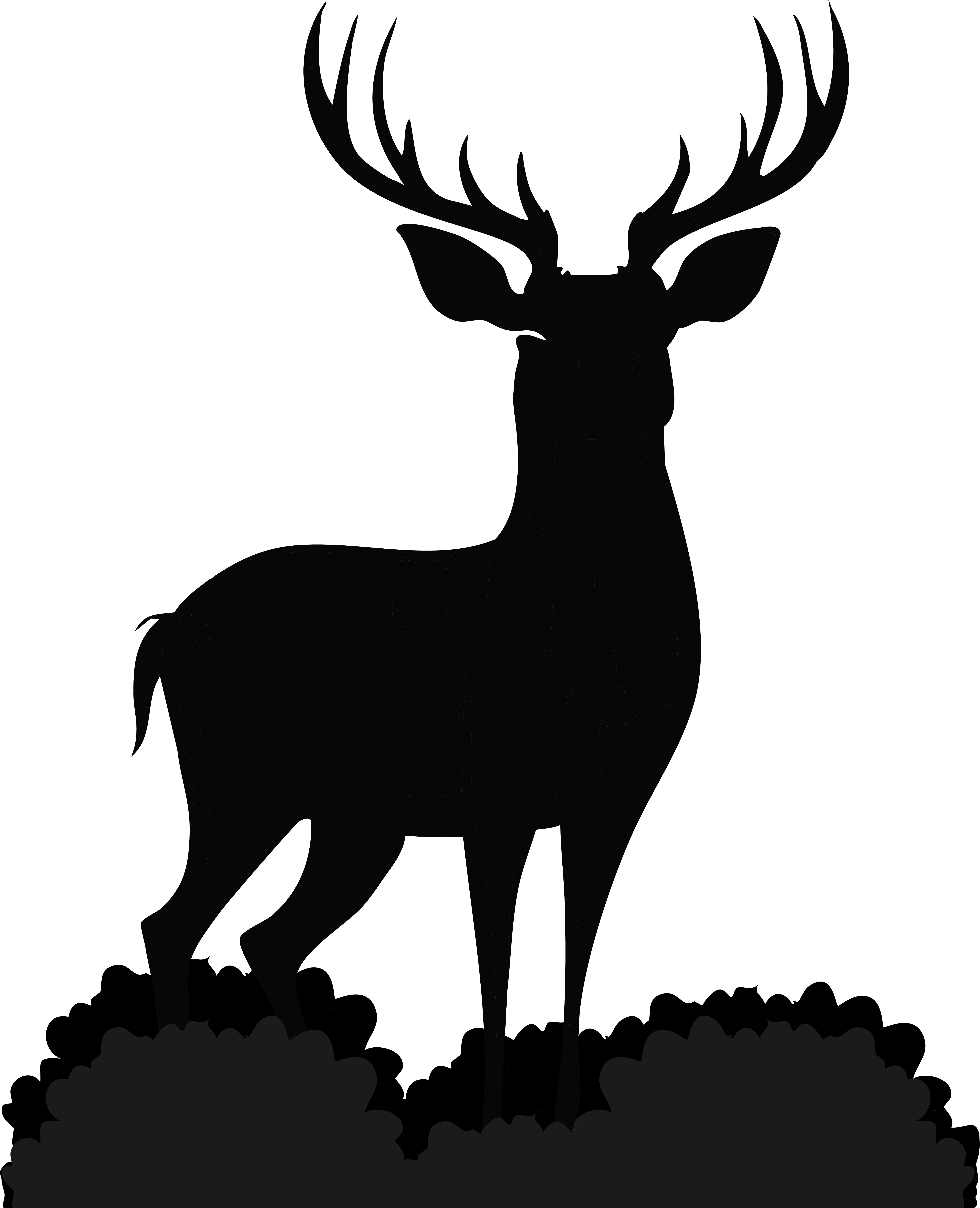 Venado